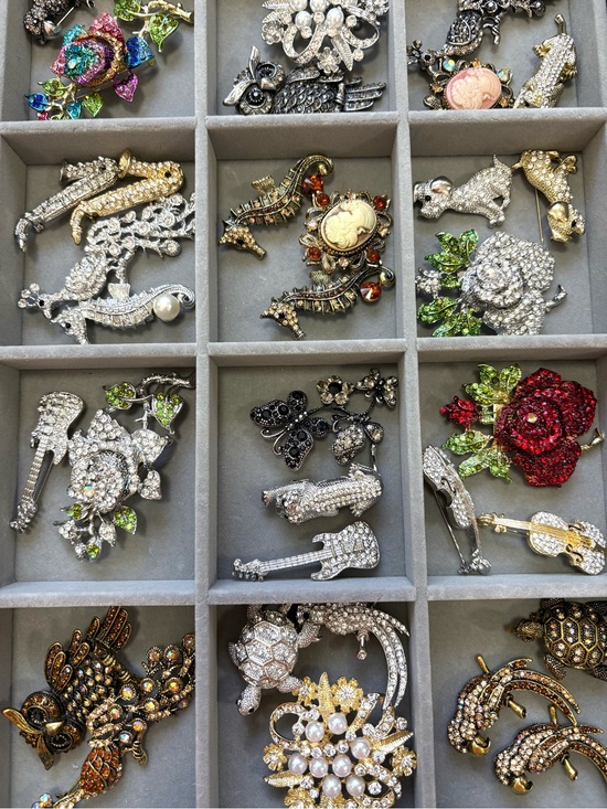 Jewelry - $5 Starts Brooches Vintage and Modern For The Show!